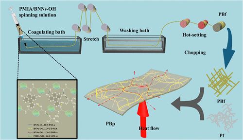 华南理工:通过改性氮化硼纳米片,构建高导热芳纶绝缘纸,仅5 wt%填充导热提高近700%